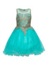 Girls Aqua Gold Trim Wire Tulle Flower Girl Junior Bridesmaid Dress 4-20